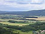 IMG_0020.JPG