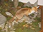 IMG_0188.JPG