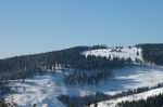DSC_1002.JPG