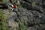 DSC_0066.JPG