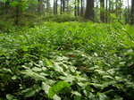 DSCN0400.JPG
