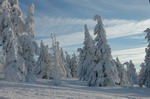 DSC_0075.JPG