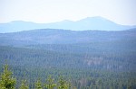 P6133487.JPG