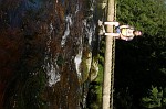 P6133524.JPG