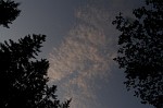 P6133556.JPG