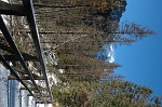 DSC_0022.JPG