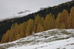 DSC_0045.JPG