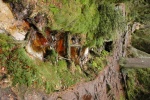 DSC_0015.JPG