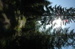 DSC_0019.JPG
