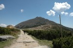 DSC_0085.JPG
