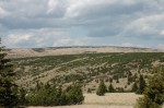 DSC_0095.JPG