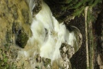IMG_2556.JPG