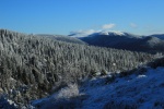 IMG_0090.JPG