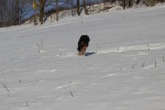 IMG_0128.JPG