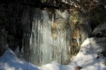 IMG_0009.JPG