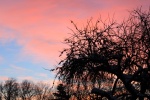 IMG_0006.JPG
